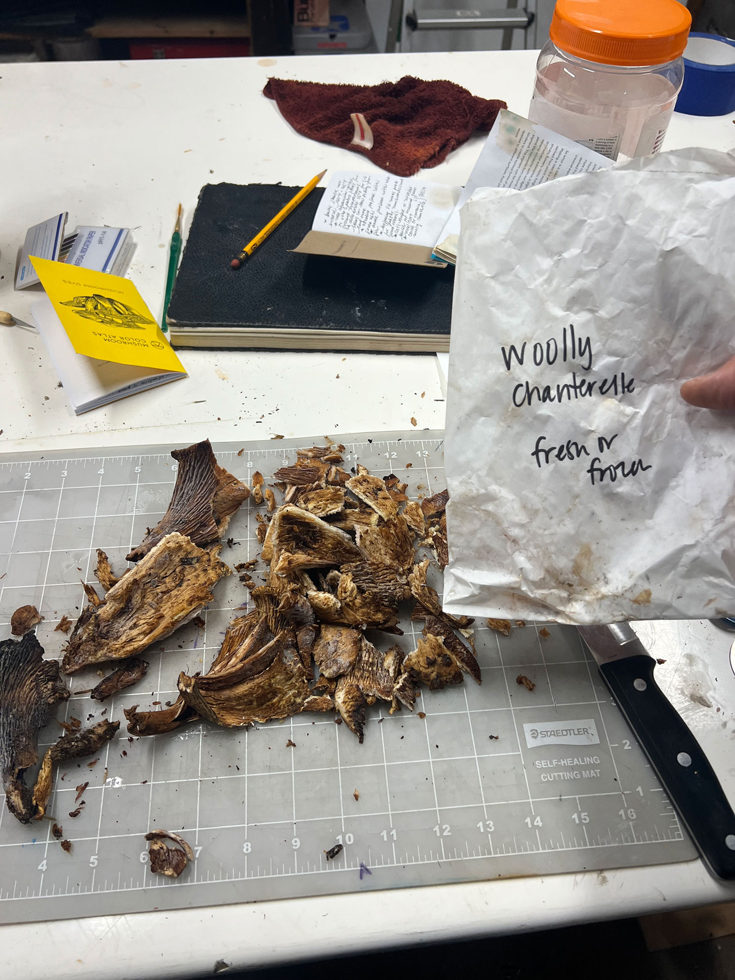 Dried woolly chanterelle mushrooms on a cutting mat with a knife and handwritten labeled bag.