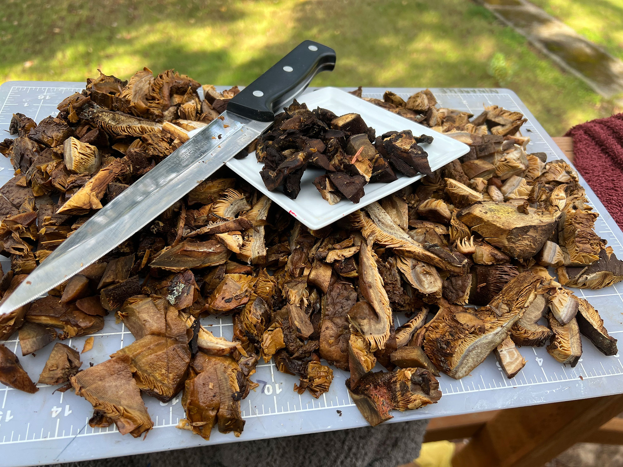 Cut brown mushrooms spread on a ruler mat with a serrated knife and a white dish on top outdoors.