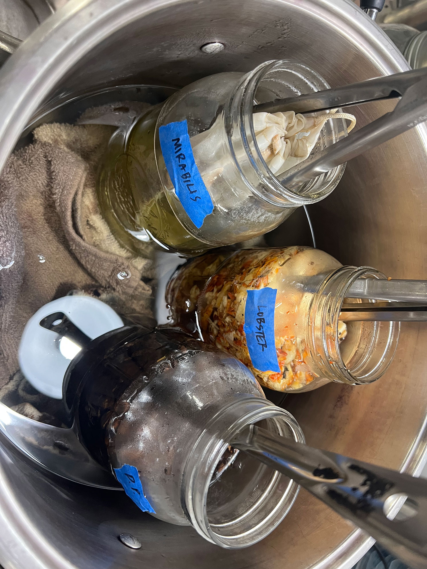 Three labeled glass jars in a pot with water, each with cloth bags and tongs inside.