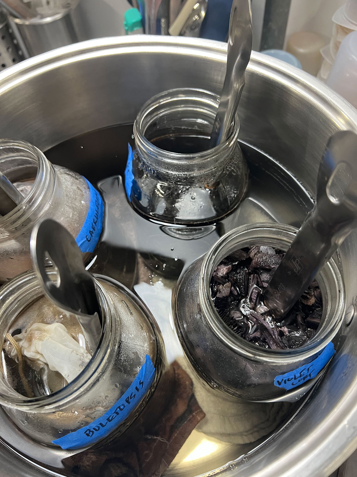 Four glass jars labeled and filled with liquids and materials, placed in a hot water bath with spoons in each jar.